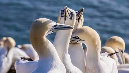 ayx体育下载安装-德国队大胜一场，继续稳坐榜首位置，德国队获胜