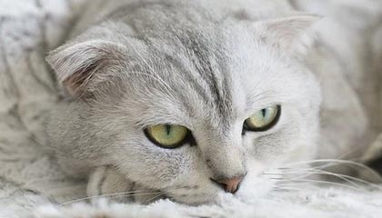 ayx体育下载安装-德国队大胜一场，继续稳坐榜首位置，德国队获胜