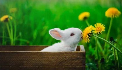 ayx体育下载安装-德国队大胜一场，继续稳坐榜首位置，德国队获胜